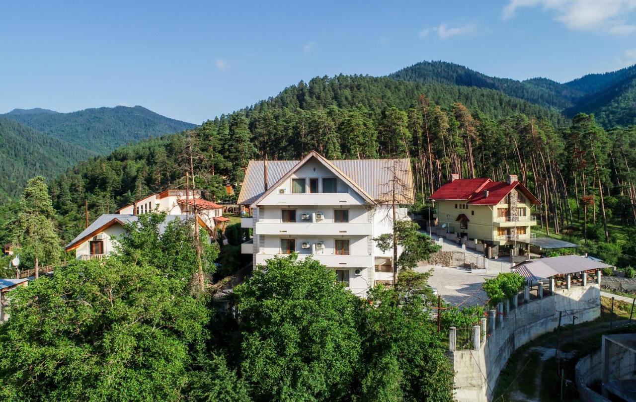 Natali Hotel Bordschomi Exterior foto